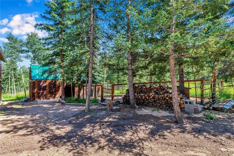 1108 S Pine Dr, Bailey, CO 80421 photo 32