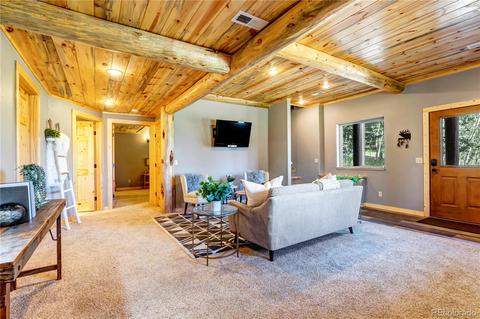 1108 S Pine Dr, Bailey, CO 80421 photo 24