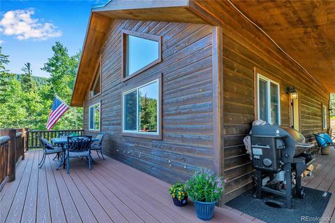 1108 S Pine Dr, Bailey, CO 80421 photo 5