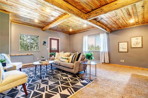 1108 S Pine Dr, Bailey, CO 80421 photo 25