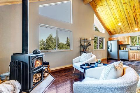 1108 S Pine Dr, Bailey, CO 80421 photo 10