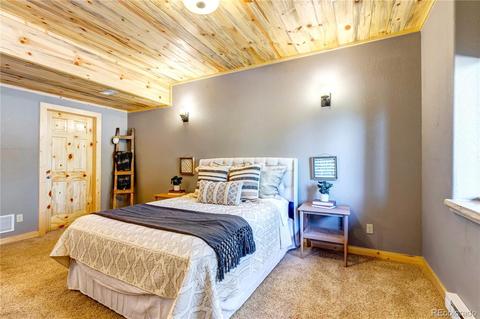 1108 S Pine Dr, Bailey, CO 80421 photo 28