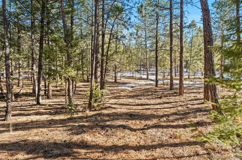 186 Territory Dr, Pine, CO 80470 photo 27