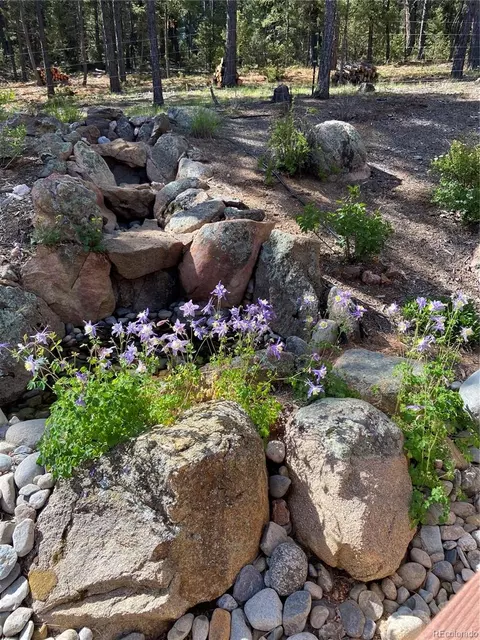 186 Territory Dr, Pine, CO 80470 photo 39