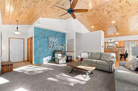 186 Territory Dr, Pine, CO 80470 photo 4