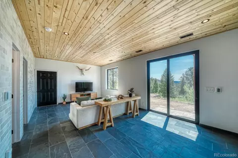 50 Ridge Ln, Bailey, CO 80421 photo 23