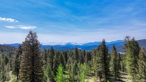 50 Ridge Ln, Bailey, CO 80421 photo 35