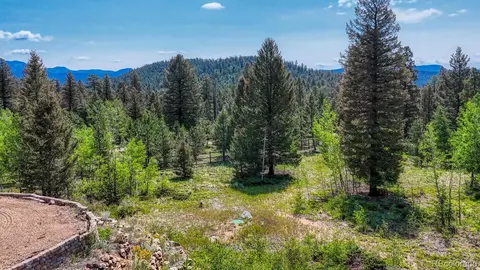 50 Ridge Ln, Bailey, CO 80421 photo 29