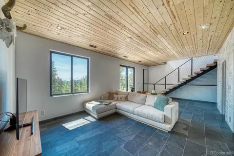 50 Ridge Ln, Bailey, CO 80421 photo 17
