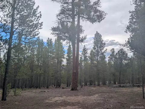 663 Spruce Dr, Twin Lakes, CO 80461