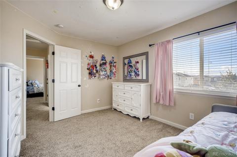 20085 E 49th Pl, Denver, CO 80249 photo 19