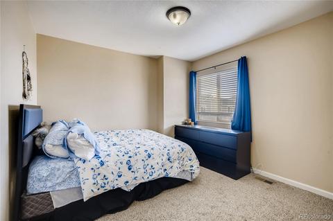 20085 E 49th Pl, Denver, CO 80249 photo 20