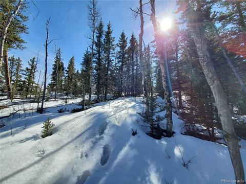 1551 Warrior Cir, Como, CO 80432 photo 7