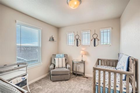 8154 Eagle Dr, Greeley, CO 80634 photo 21