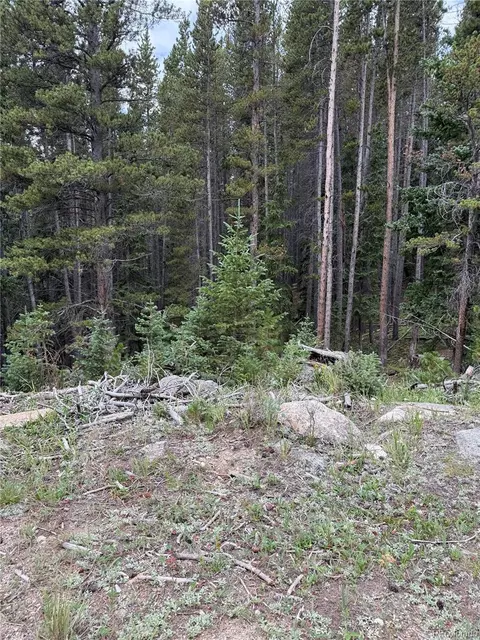 0179 Mine Rd, Idaho Springs, CO 80452