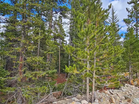 100 Miners Way, Fairplay, CO 80440