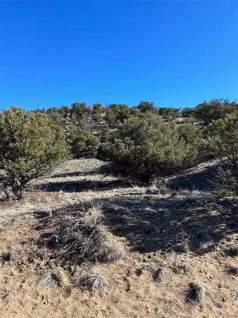 000 Apache Ln, Salida, CO 81201 photo 6