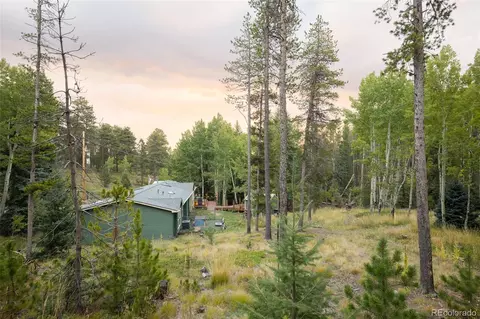 Other - 8481 S Warhawk Rd, Conifer, CO 80433 photo 14 of 15