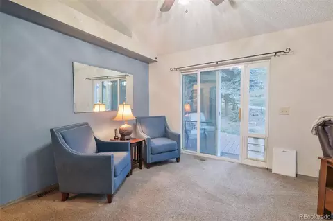 Other - 8481 S Warhawk Rd, Conifer, CO 80433 photo 8 of 15