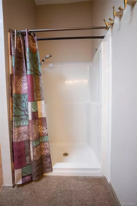 Bath - 8481 S Warhawk Rd, Conifer, CO 80433 photo 4 of 6