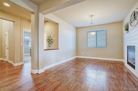 21455 E Stroll Ave, Parker, CO 80138 photo 8