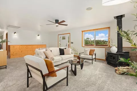 Living - 6475 County Road 178 E, Salida, CO 81201 photo 3 of 4