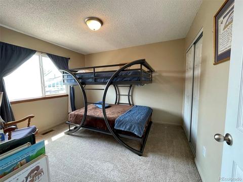 250 Birch St, Bennett, CO 80102 photo 11