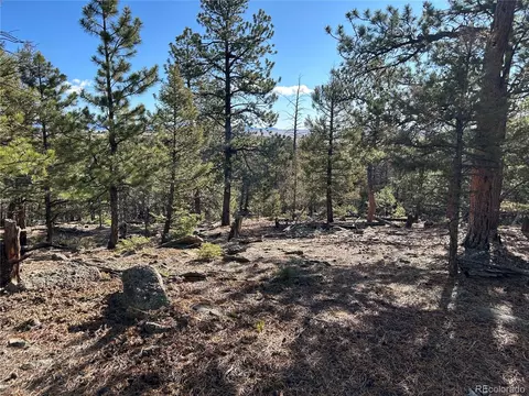 1581 Bellows Rd, Hartsel, CO 80449
