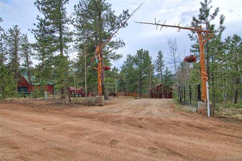 199 Buffum St, Bailey, CO 80421 photo 2