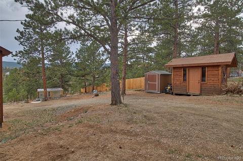 199 Buffum St, Bailey, CO 80421 photo 19