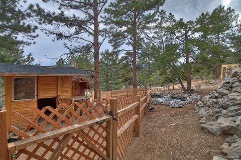 199 Buffum St, Bailey, CO 80421 photo 24