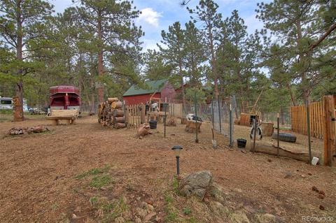 199 Buffum St, Bailey, CO 80421 photo 18