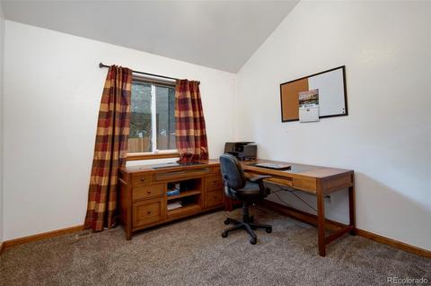 199 Buffum St, Bailey, CO 80421 photo 11
