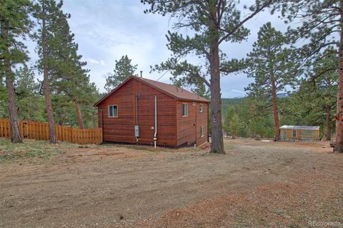 199 Buffum St, Bailey, CO 80421 photo 20