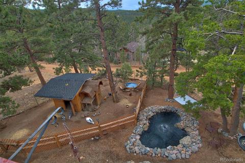 199 Buffum St, Bailey, CO 80421 photo 25