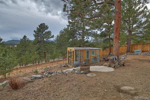 199 Buffum St, Bailey, CO 80421 photo 22