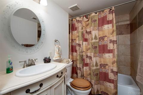 199 Buffum St, Bailey, CO 80421 photo 14