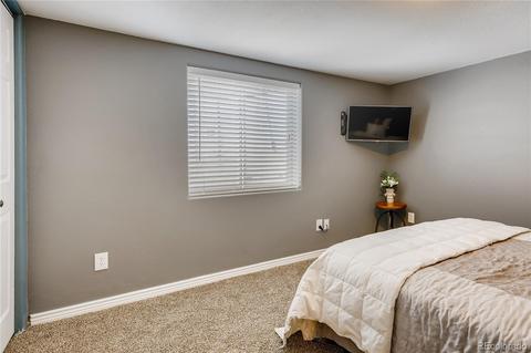 6776 E 128th Pl, Thornton, CO 80602 photo 23