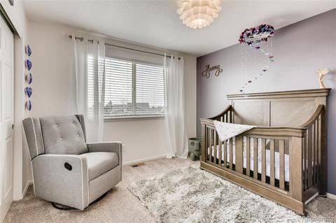 6776 E 128th Pl, Thornton, CO 80602 photo 19