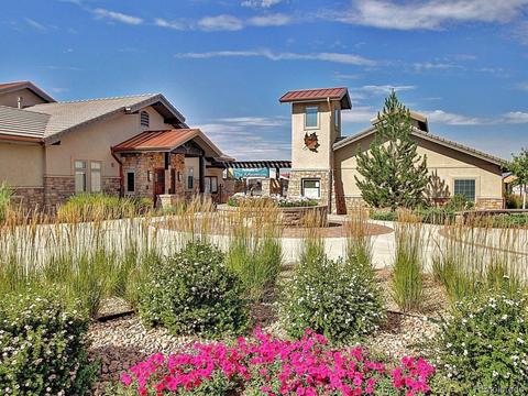 22643 E Radcliff Dr, Aurora, CO 80015 photo 37