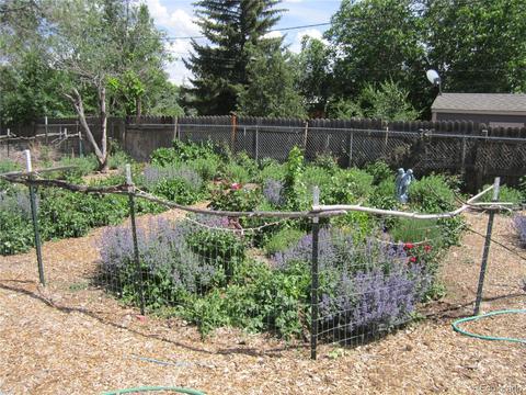 245 NW 3rd St, Cedaredge, CO 81413 photo 27