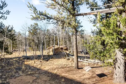 43 Pintail Way, Como, CO 80432 photo 35