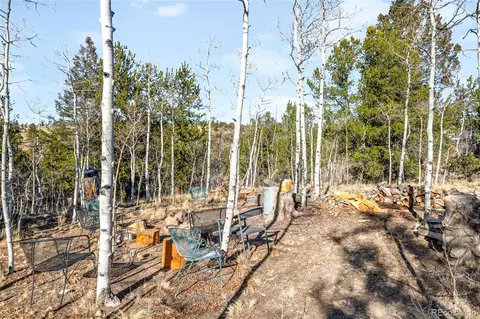 43 Pintail Way, Como, CO 80432 photo 34