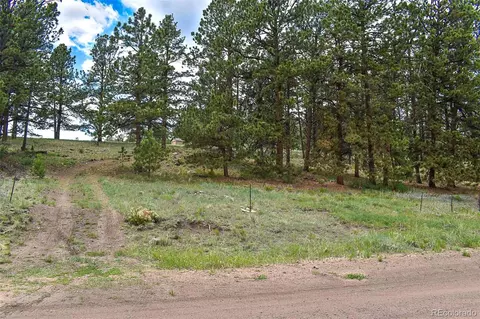 523 Valley Dr, Guffey, CO 80820 photo 3