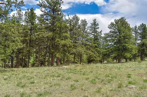 523 Valley Dr, Guffey, CO 80820 photo 9
