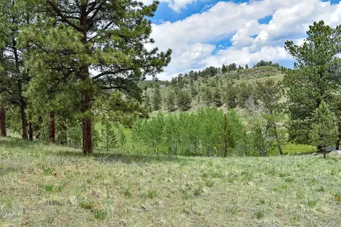 523 Valley Dr, Guffey, CO 80820 photo 5