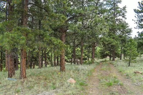 523 Valley Dr, Guffey, CO 80820 photo 13