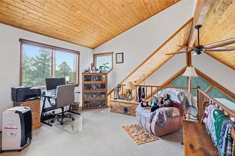 Other - 497 Woodside Dr, Pine, CO 80470 photo 6 of 18