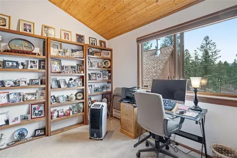 Other - 497 Woodside Dr, Pine, CO 80470 photo 5 of 18