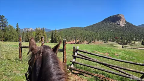 Other - 497 Woodside Dr, Pine, CO 80470 photo 18 of 18